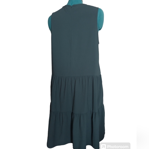 IGWT DRESS - Picture 4 of 9